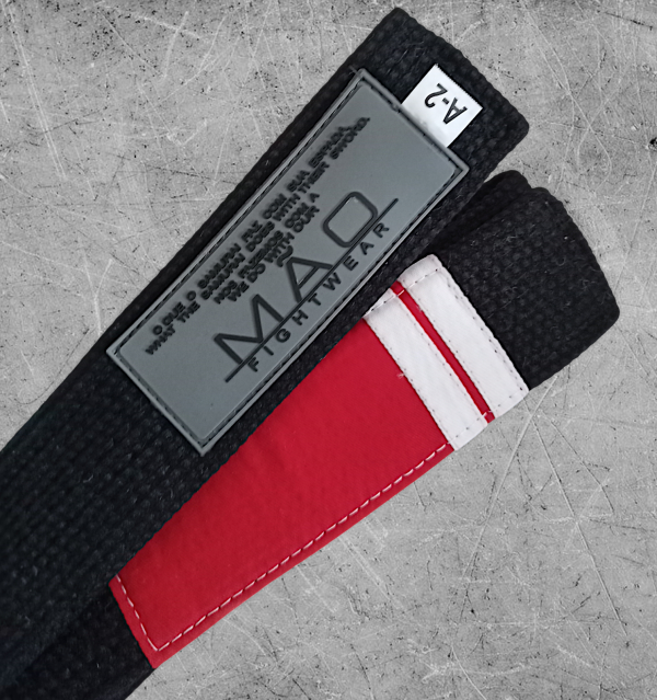 Premium Black Belt with Degrees - Image 2